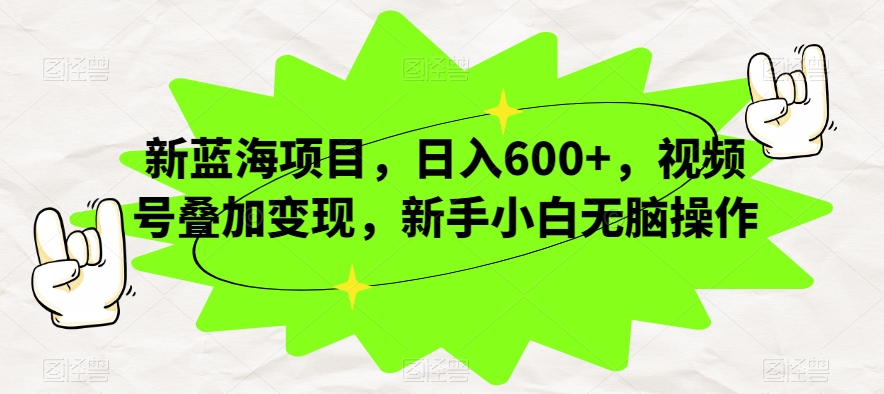 新蓝海项目，日入600+，视频号叠加变现，新手小白无脑操作【揭秘】 - 网赚资源网-网赚资源网