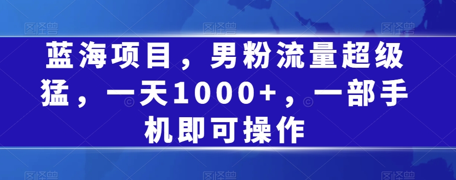蓝海项目，男粉流量超级猛，一天1000+，一部手机即可操作【揭秘】 - 网赚资源网-网赚资源网