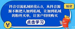 抖音引流私域转化6.0，从抖音源源不断把人加到私域，让加到私域的粉丝买单，让客户持续购买-网赚资源网