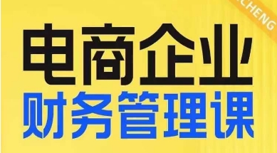 电商企业财务管理线上课，为电商企业规划财税 - 网赚资源网-网赚资源网
