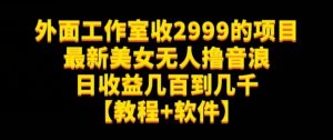 外面工作室收2999的项目最新美女无人撸音浪日收益几百到几千【教程+软件】(仅揭秘)-网赚资源网