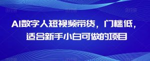 AI数字人短视频带货，门槛低，适合新手小白可做的项目-网赚资源网