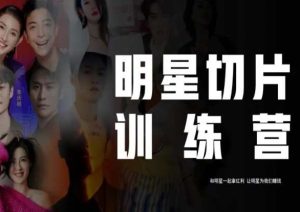王子·明星切片线上训练营(2023),和明星一起拿红利,让明星为我们赚钱-网赚资源网