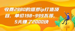 收费2980的塔罗ip打造项目，单价198-999不等，5天赚了2000块【揭秘】-网赚资源网