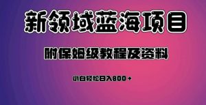 虚拟资源蓝海领域新项目，轻松日入800＋，附保姆级教程及资料-网赚资源网