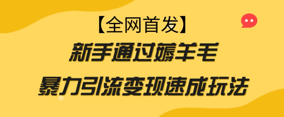 【全网首发】新手通过薅羊毛暴力引流变现速成玩法 - 网赚资源网-网赚资源网