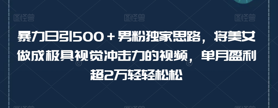 暴力日引500＋男粉独家思路，将美女做成极具视觉冲击力的视频，单月盈利超2万轻轻松松 - 网赚资源网-网赚资源网