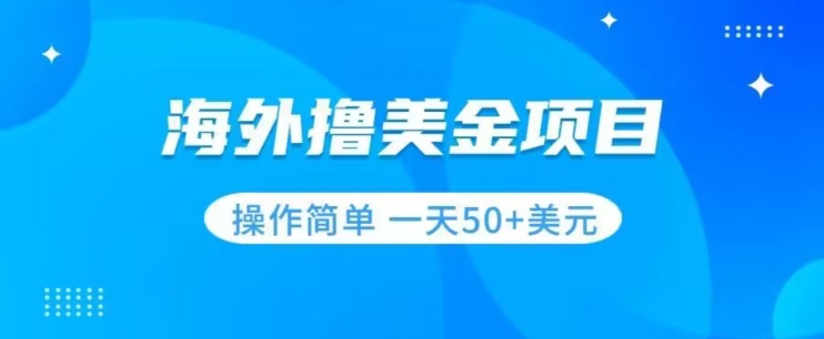 撸美金项目无门槛操作简单小白一天50+美刀 - 网赚资源网-网赚资源网