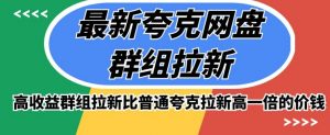 最新夸克网盘群组拉新,高收益群组拉新比普通夸克拉新高一倍的价钱-网赚资源网