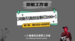 第三期:暴力引流,无脑搬运,闲鱼创业粉引流一天200+,更新全自动发货的团队闭环模式【揭秘】-网赚资源网