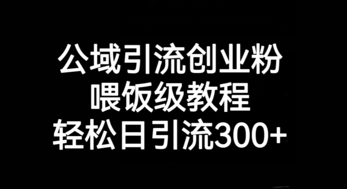 公域引流创业粉，喂饭级教程，轻松日引流300+【揭秘】 - 网赚资源网-网赚资源网