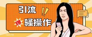 最新引流骚操作，单账号日引50-100，简单粗暴，适合于小白各行各业都可以进行操作，精准粉丝加到爆-网赚资源网