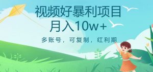 视频号暴利项目,多账号,可复制,红利期,月入10w+【揭秘】-网赚资源网