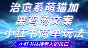 治愈系萌猫加+黑鸡汤文案,小红书商单玩法,3~10天涨到1000粉,一单200左右-网赚资源网