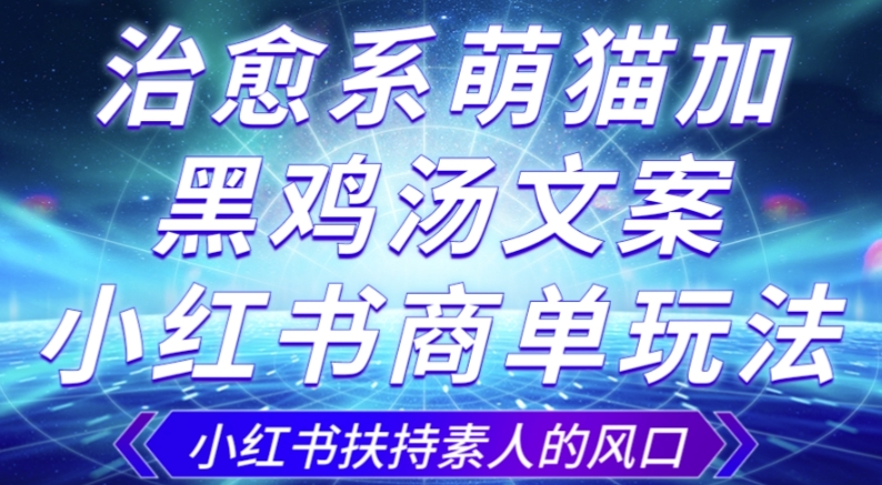 治愈系萌猫加+黑鸡汤文案，小红书商单玩法，3~10天涨到1000粉，一单200左右 - 网赚资源网-网赚资源网