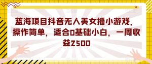 蓝海项目抖音无人美女播小游戏，操作简单，适合0基础小白，一周收益2500【揭秘】-网赚资源网