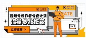 一条视频收益3000+,一条作品涨粉2000+,视频号流量爆炸·的秘籍-网赚资源网