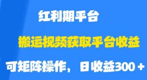 搬运视频获取平台收益,平台红利期,附保姆级教程【揭秘】-网赚资源网