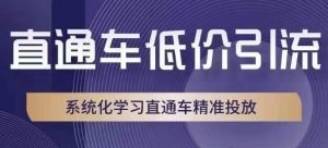 直通车低价引流课,系统化学习直通车精准投放-网赚资源网