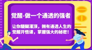 觉醒-做一个通透的强者,让你醍醐灌顶,拥有通透人生的觉醒开悟课,掌握强大的秘密!-网赚资源网