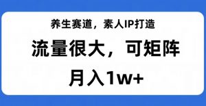 养生赛道，素人IP打造，流量很大，可矩阵，月入1w+【揭秘】-网赚资源网