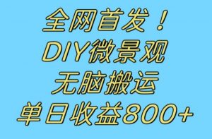 全网首发冷门赛道!DIY微景观,无脑搬运视频,日收益800+【揭秘】-网赚资源网
