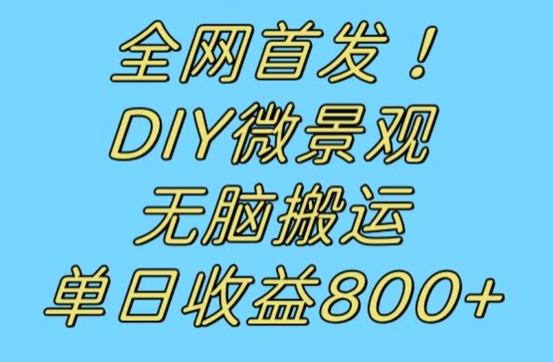 全网首发冷门赛道！DIY微景观，无脑搬运视频，日收益800+【揭秘】 - 网赚资源网-网赚资源网