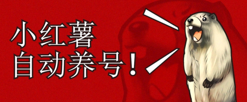 小红书养号秘籍，如何自动涨粉清晰系统标签打造高权重账号【揭秘】 - 网赚资源网-网赚资源网