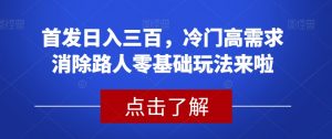 首发日入三百，冷门高需求消除路人零基础玩法来啦【揭秘】-网赚资源网