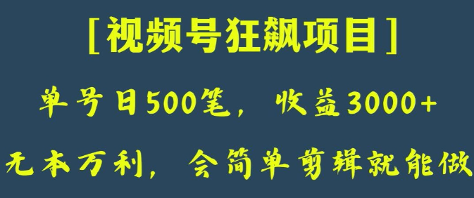 日收款500笔，纯利润3000+，视频号狂飙项目，会简单剪辑就能做【揭秘】 - 网赚资源网-网赚资源网