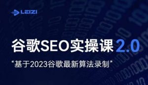 雷子·谷歌SEO 2.0实战课,独立站询盘自由必备,基于2023谷歌最新算法录制-网赚资源网