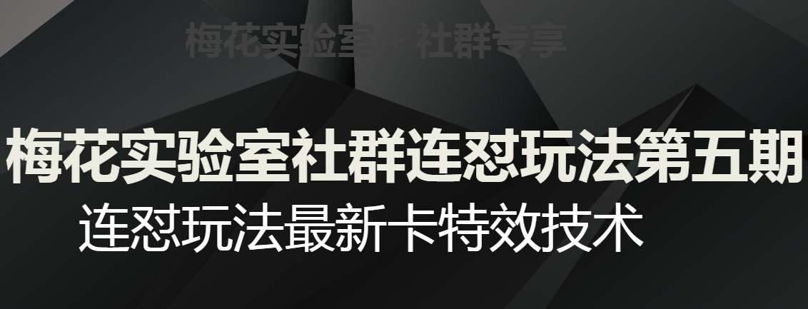 梅花实验室社群连怼玩法第五期，视频号连怼玩法最新卡特效技术 - 网赚资源网-网赚资源网