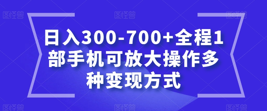 日入300-700+全程1部手机可放大操作多种变现方式【揭秘】 - 网赚资源网-网赚资源网