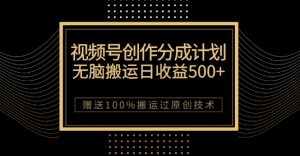 最新视频号创作分成计划，无脑搬运一天收益500+，100%搬运过原创技巧【揭秘】-网赚资源网