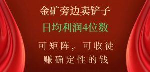 金矿旁边卖铲子，赚确定性的钱，可矩阵，可收徒，日均利润4位数【揭秘】-网赚资源网