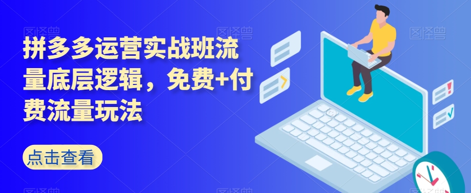 拼多多运营实战班流量底层逻辑，免费+付费流量玩法 - 网赚资源网-网赚资源网