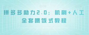 拼多多助力2.0:机刷+人工全套喂饭式教程【揭秘】-网赚资源网