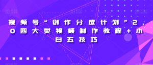 视频号“创作分成计划”2.0四大类视频制作教程+小白五技巧【揭秘】-网赚资源网
