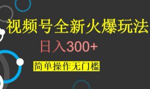 视频号最新爆火玩法，日入300+，简单操作无门槛【揭秘】-网赚资源网