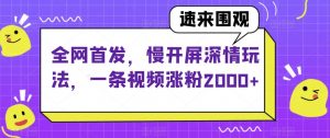 全网首发，慢开屏深情玩法，一条视频涨粉2000+【揭秘】-网赚资源网