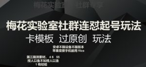 梅花实验室社群连怼起号玩法,卡模板过原创玩法【揭秘】-网赚资源网