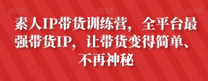 素人IP带货训练营，全平台最强带货IP，让带货变得简单、不再神秘-网赚资源网