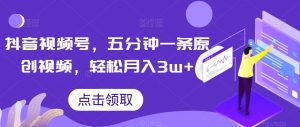 抖音视频号，五分钟一条原创视频，轻松月入3w+【独家秘诀，传授赚钱方法】【揭秘】-网赚资源网