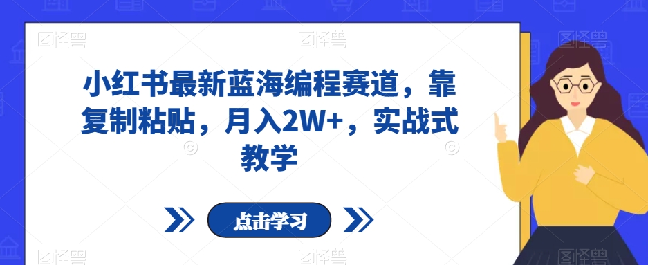 小红书最新蓝海编程赛道，靠复制粘贴，月入2W+，实战式教学【揭秘】 - 网赚资源网-网赚资源网