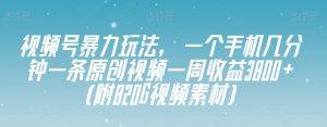 视频号暴力玩法,一个手机几分钟一条原创视频一周收益3800+(附820G视频素材)-网赚资源网
