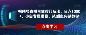 视频号直播带货冷门玩法，日入1000+，小白专属项目，从0到1实战教学【揭秘】-网赚资源网