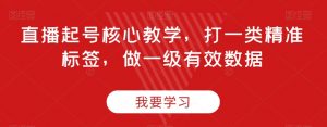 直播起号核心教学,打一类精准标签,做一级有效数据-网赚资源网