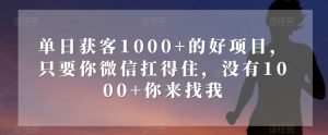 单日获客1000+的好项目，只要你微信扛得住，没有1000+你来找我【揭秘】-网赚资源网