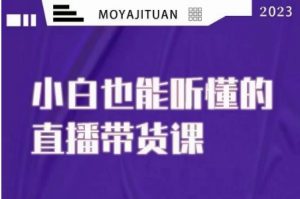 大威本威·能听懂的直播带货课,小白也能听懂,20节完整-网赚资源网