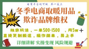 利用电商平台冬季销售取暖用品欺诈行为合理制裁店铺，单日入900+【仅揭秘】-网赚资源网